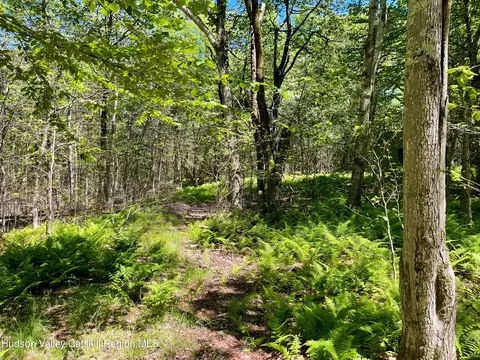 3045 Red Hill Rd, Grahamsville, NY 12740