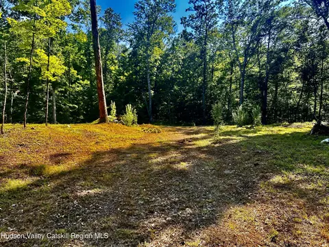 80 Forever Ivy Ln, Hyde Park, NY 12538