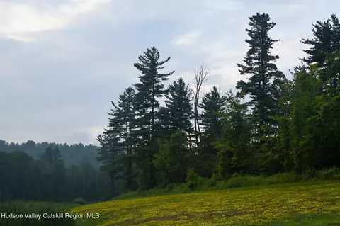 120 Route 203, Austerlitz, NY 12017 photo 18