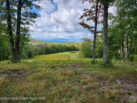 120 Route 203, Austerlitz, NY 12017 photo 4