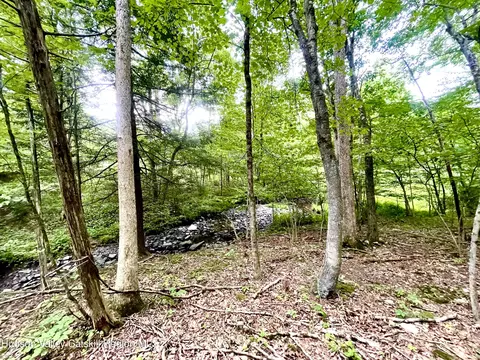 0 Cairo Junction Rd, Catskill, NY 12414 photo 4