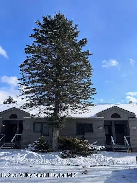 113 Windham Ridge Rd, Windham, NY 12496