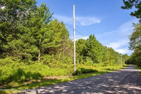 L-16.2 Donlan Heights Road, Middleburgh, NY 12122