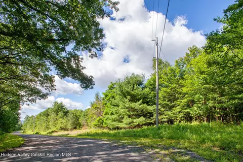 L-16.5 Donlan Heights Road, Middleburgh, NY 12122