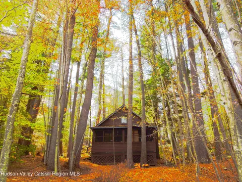 22 Mink Hollow Rd, Lexington, NY 12452