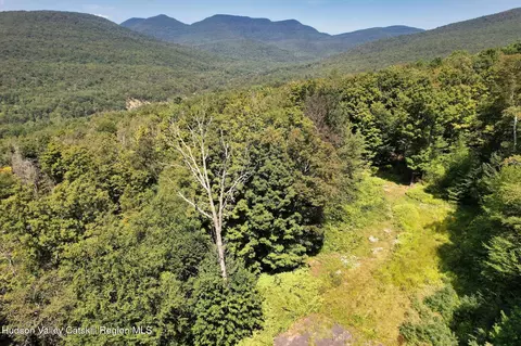 tbd Macdaniel Rd, Bearsville, NY 12409