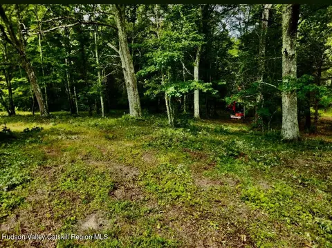 12 Talleur Rd, Clinton, NY 12514