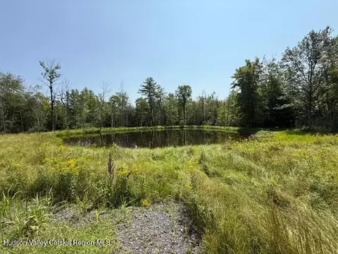 16 Kerness Rd, Wawarsing, NY 12489