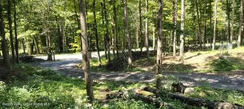 786 Route 41, Cairo, NY 12413 photo 1