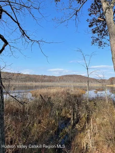 tbd Lily Lake Rd, Highland, NY 12528