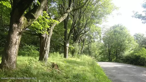 tbd Henry Rd, Cragsmoor, NY 12420