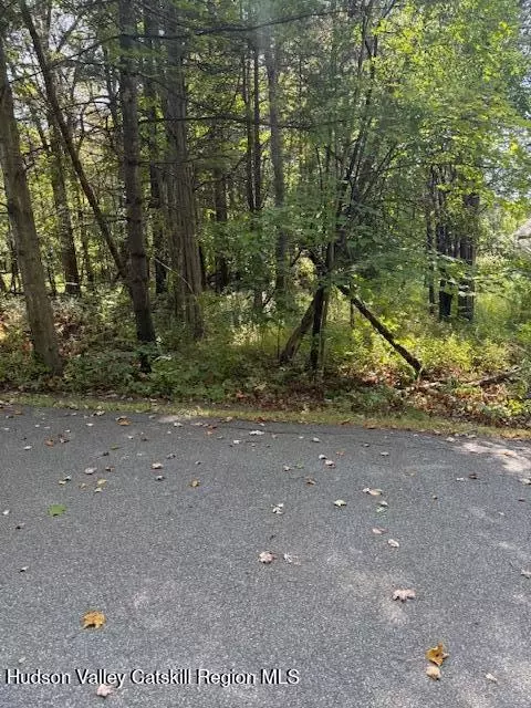 41 Fallen Tree Ln, Athens, NY 12015