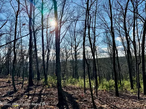00 Dug Hill Rd, Hurley, NY 12443