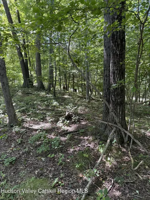 399 Floyd Ackert Rd, New Paltz, NY 12561