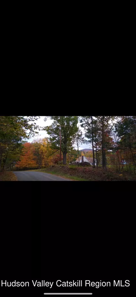 Other - 457 Hervey Street Road Rd, Cornwallville, NY 12418 photo 9 of 13