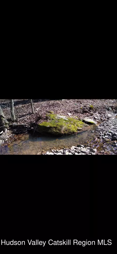 Other - 457 Hervey Street Road Rd, Cornwallville, NY 12418 photo 13 of 13