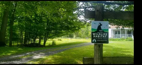 Other - 457 Hervey Street Road Rd, Cornwallville, NY 12418 photo 5 of 13