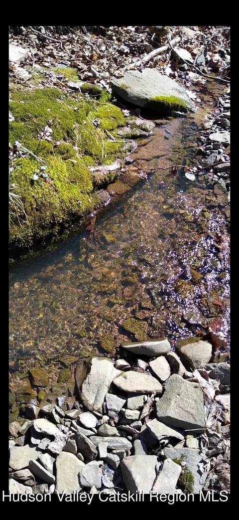 Other - 457 Hervey Street Road Rd, Cornwallville, NY 12418 photo 10 of 13