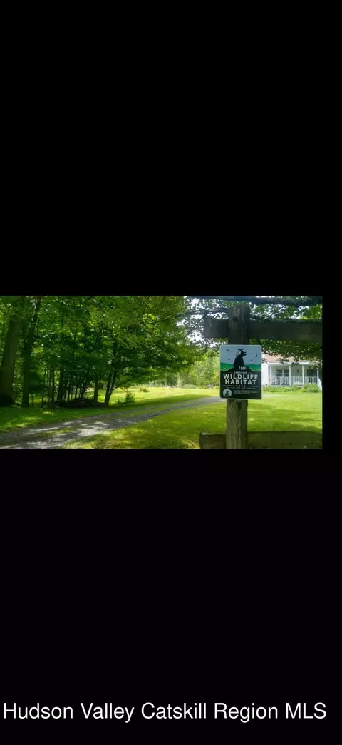 Exterior - 457 Hervey Street Road Rd, Cornwallville, NY 12418 photo 2 of 3