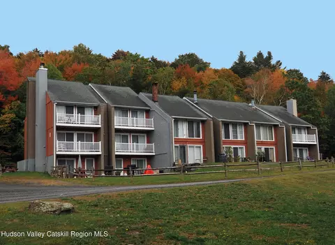 81 Scribner Hollow Rd #D 2, Hunter, NY 12442