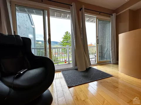 Living - 81 Scribner Hollow Rd #D 2, Hunter, NY 12442 photo 2 of 5