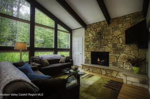 Living - 295 Pine Ln, Hunter, NY 12442 photo 1 of 2