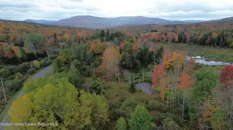 611 Mitchell Hollow Rd, Windham, NY 12496 photo 9