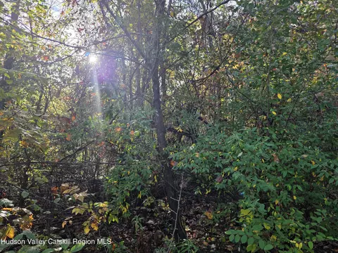 6 Durham Woods Rd, Durham, NY 12422 photo 9