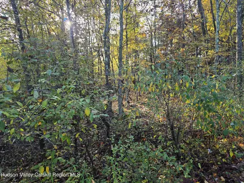 6 Durham Woods Rd, Durham, NY 12422 photo 10