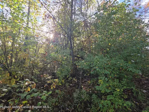 6 Durham Woods Rd, Durham, NY 12422 photo 8