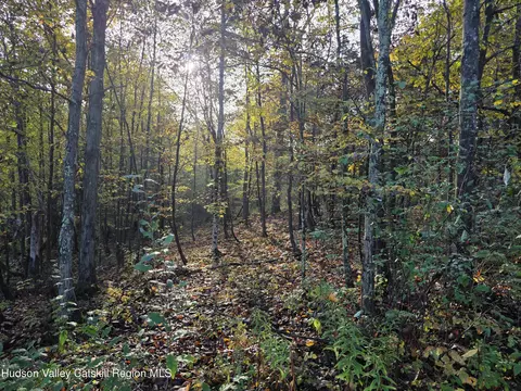 6 Durham Woods Rd, Durham, NY 12422 photo 12