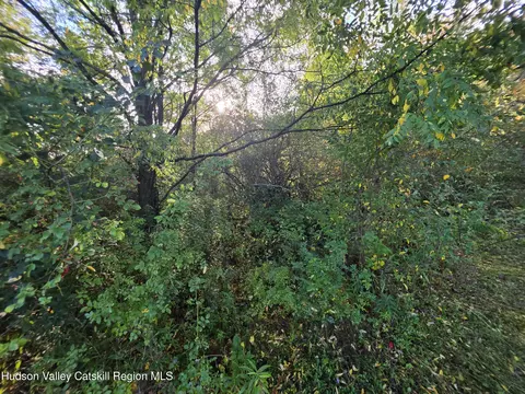 6 Durham Woods Rd, Durham, NY 12422 photo 7