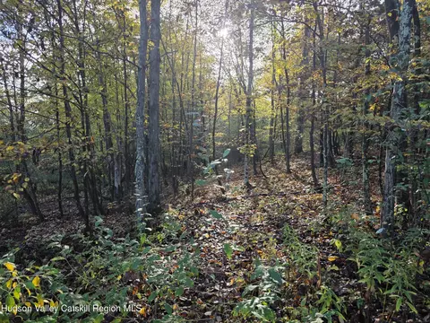 6 Durham Woods Rd, Durham, NY 12422 photo 11