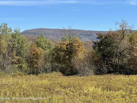 908 Black River Rd, Stephentown, NY 12169