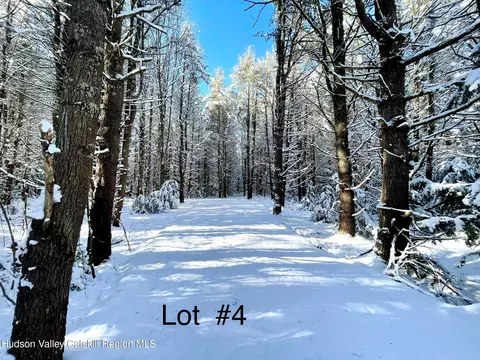 497 Campbell Rd, Ashland, NY 12407