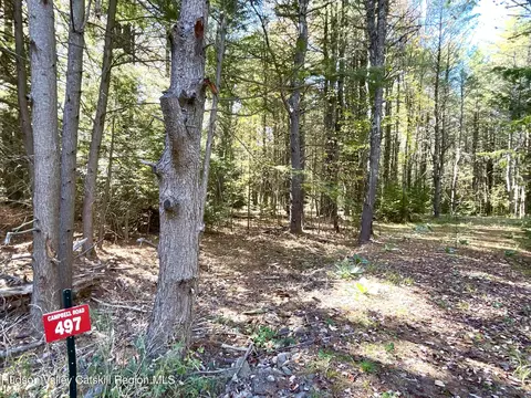 497 Campbell Rd, Ashland, NY 12407