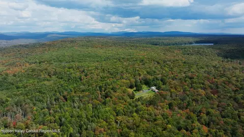 480 Breezy Hill Rd, Parksville, NY 12768