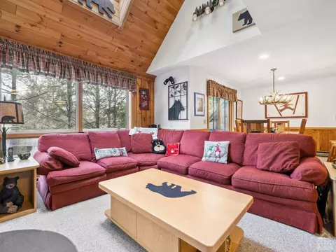 Living - 57 Brainard Rdg #3-E, Windham, NY 12496 photo 4 of 8