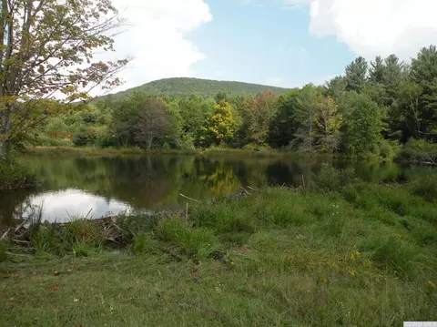 804 Mitchell Hollow Rd, Windham, NY 12496 photo 15
