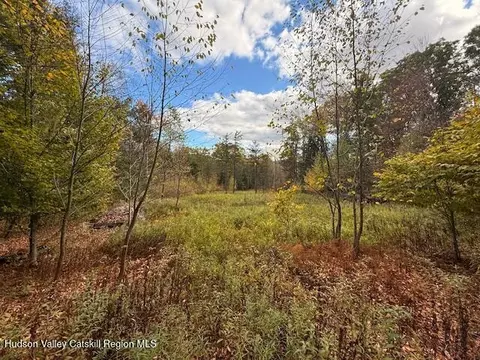 0 N Ridge Ext, Windham, NY 12496 photo 9
