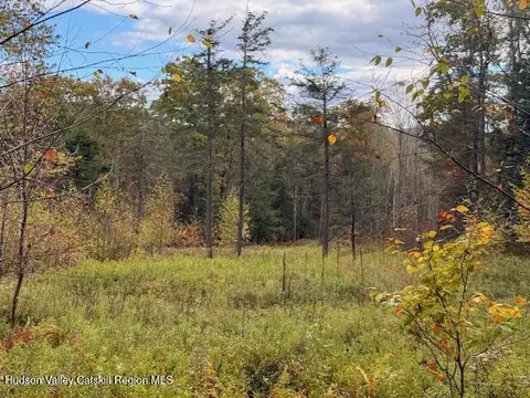 0 N Ridge Ext, Windham, NY 12496 photo 10