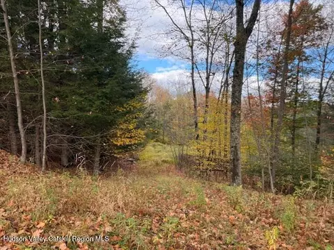 0 N Ridge Ext, Windham, NY 12496 photo 15