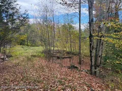 0 N Ridge Ext, Windham, NY 12496 photo 12