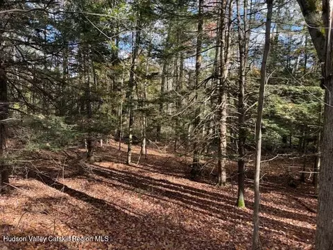 0 N Ridge Ext, Windham, NY 12496 photo 14
