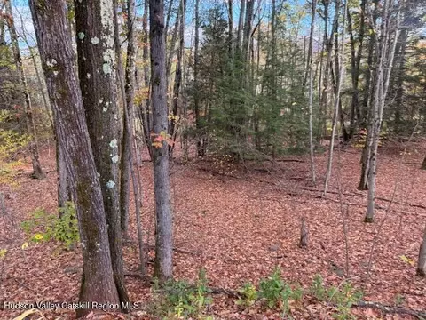 0 N Ridge Ext, Windham, NY 12496 photo 13