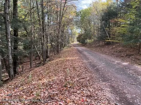 0 N Ridge Ext, Windham, NY 12496 photo 18