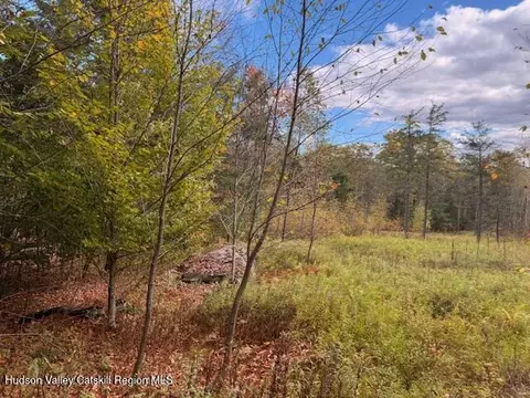 0 N Ridge Ext, Windham, NY 12496 photo 11