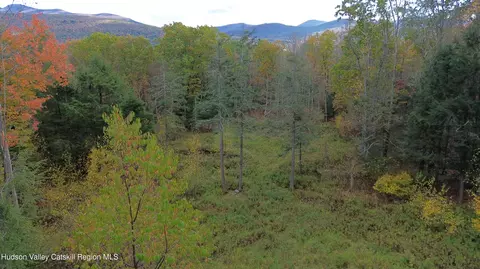0 N Ridge Ext, Windham, NY 12496