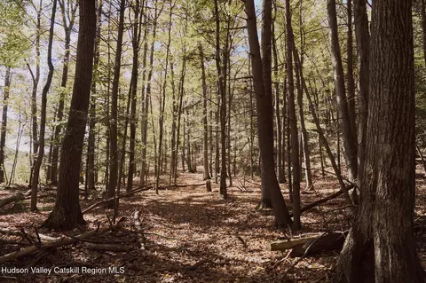 lot2 3 Potter Hill Rd, Ulster, NY 12401