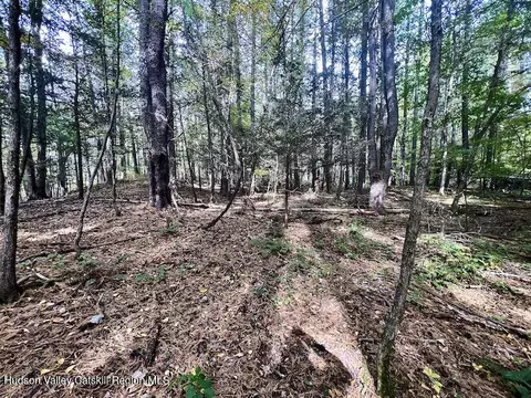 tbd Whiteport Rd, Kingston, NY 12401 photo 4
